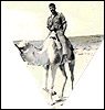 Ofer on camel