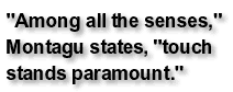 'Among all the senses', Montagu states, 'touch stands paramount.'