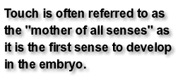 Touch is often referred to as the mother of all senses as it is the first sense to develop in the embryo.