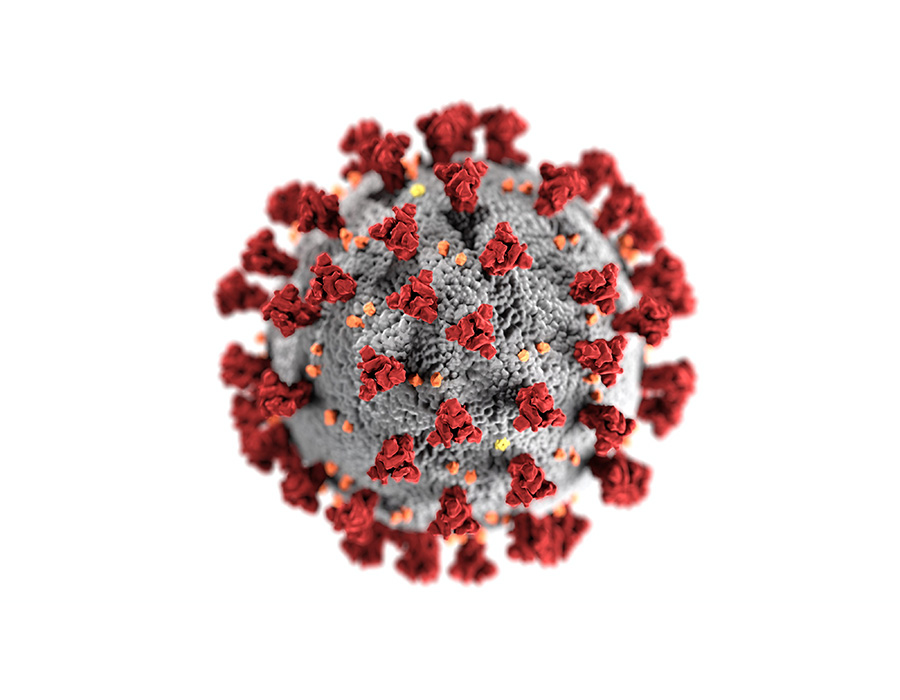 Coronavirus